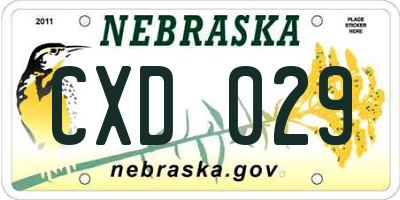 NE license plate CXD029