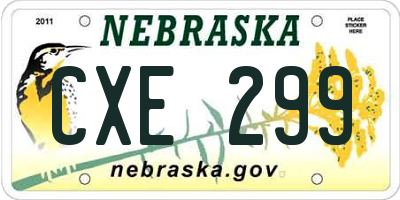 NE license plate CXE299