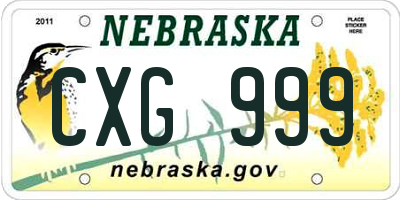 NE license plate CXG999