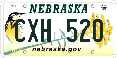 NE license plate CXH520