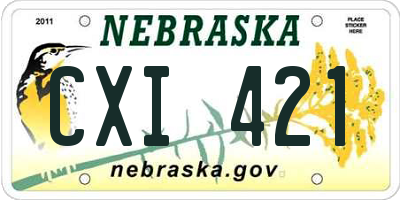 NE license plate CXI421