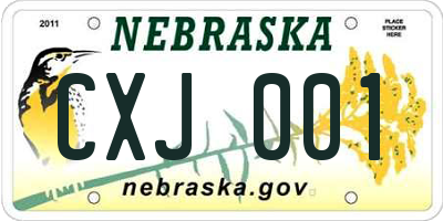 NE license plate CXJ001