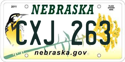 NE license plate CXJ263