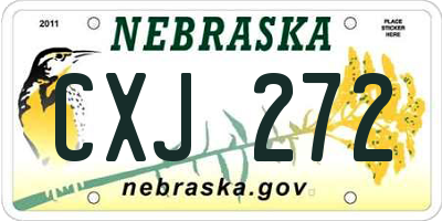 NE license plate CXJ272
