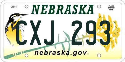 NE license plate CXJ293