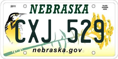 NE license plate CXJ529