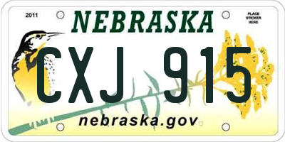 NE license plate CXJ915