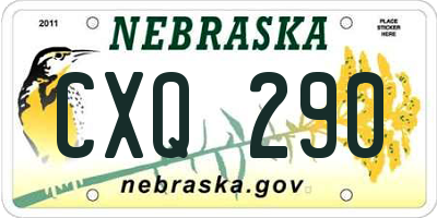 NE license plate CXQ290
