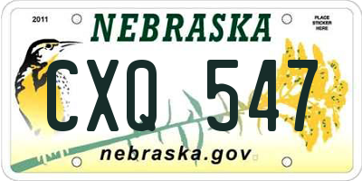 NE license plate CXQ547