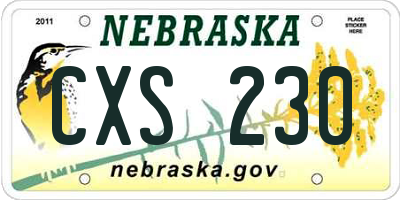 NE license plate CXS230