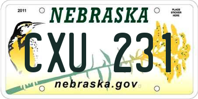 NE license plate CXU231