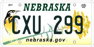 NE license plate CXU299