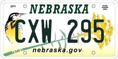 NE license plate CXW295