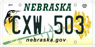 NE license plate CXW503