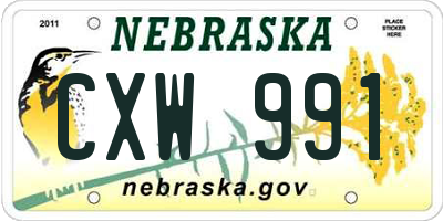 NE license plate CXW991