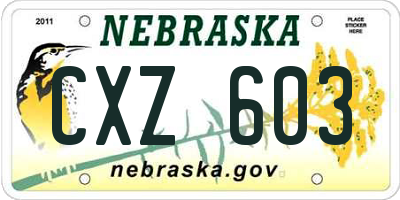 NE license plate CXZ603