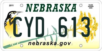 NE license plate CYD613