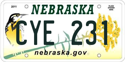 NE license plate CYE231