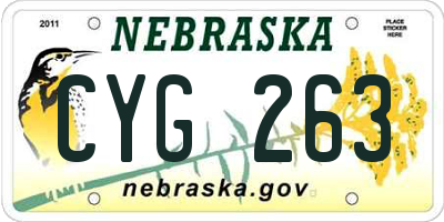 NE license plate CYG263