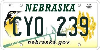NE license plate CYO239