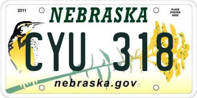 NE license plate CYU318