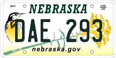 NE license plate DAE293