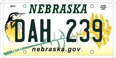 NE license plate DAH239