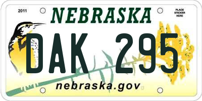 NE license plate DAK295