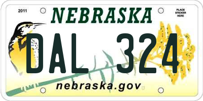 NE license plate DAL324