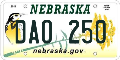 NE license plate DAO250