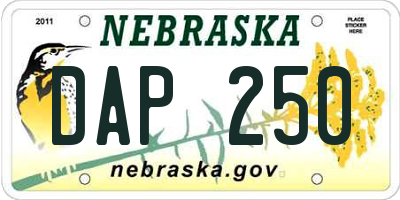 NE license plate DAP250