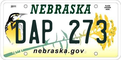 NE license plate DAP273