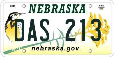 NE license plate DAS213