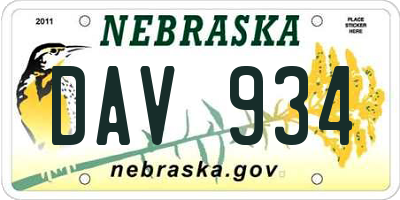NE license plate DAV934