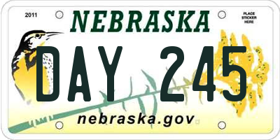 NE license plate DAY245