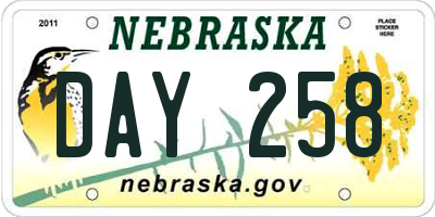 NE license plate DAY258