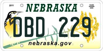 NE license plate DBD229