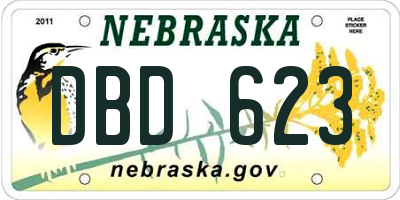 NE license plate DBD623