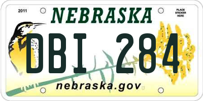 NE license plate DBI284