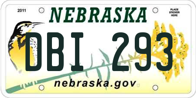NE license plate DBI293