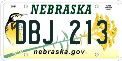 NE license plate DBJ213