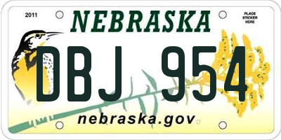 NE license plate DBJ954