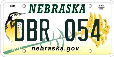 NE license plate DBR054