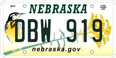NE license plate DBW919