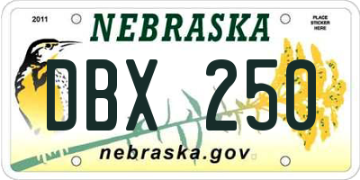 NE license plate DBX250
