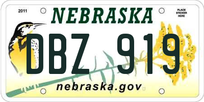 NE license plate DBZ919