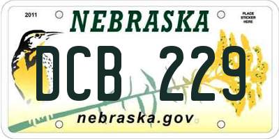 NE license plate DCB229