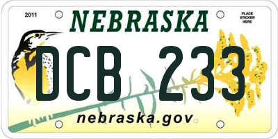 NE license plate DCB233