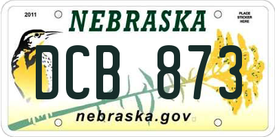 NE license plate DCB873