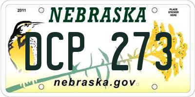 NE license plate DCP273